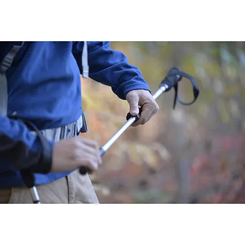 Alps Mountaineering Journey Trekking Pole - 7897423