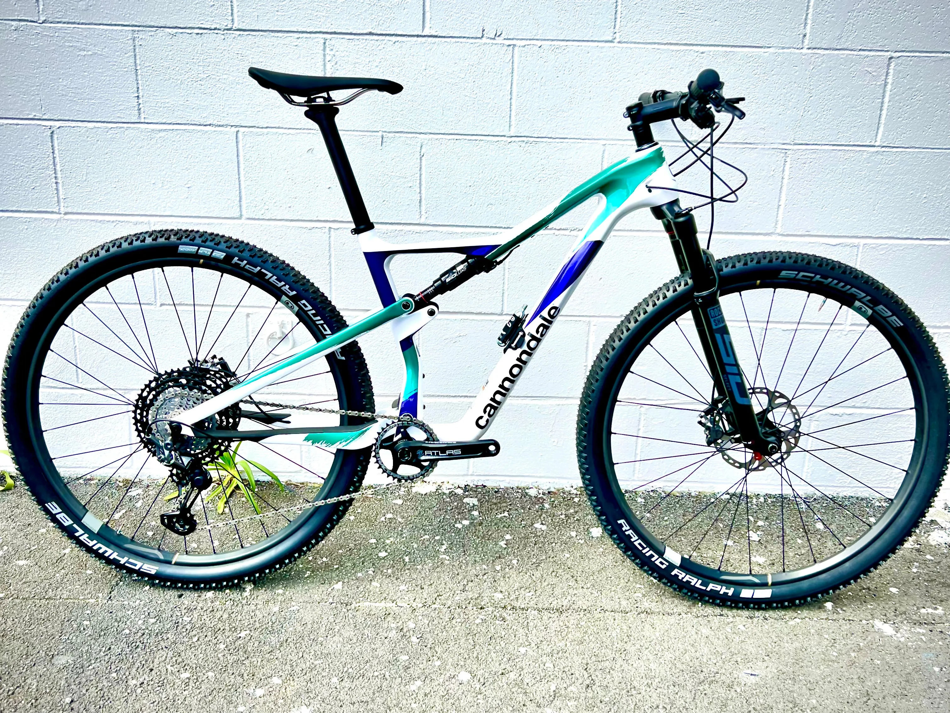 Cannondale Scalpel Hi-Mod IRD Custom Build -  Medium